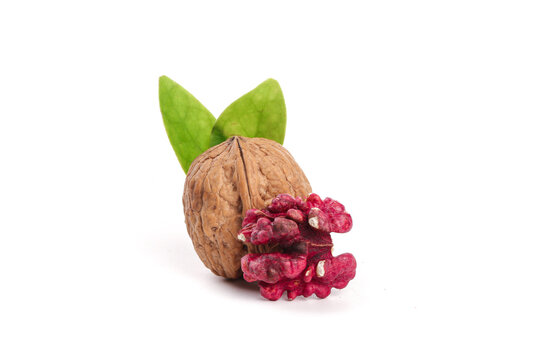 Fresh Red Walnut Kernels with Green Leaves on White Background - Healthy Organic Nuts