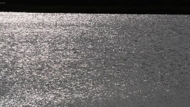 Sparkling water ripples glowing in bright sunlight