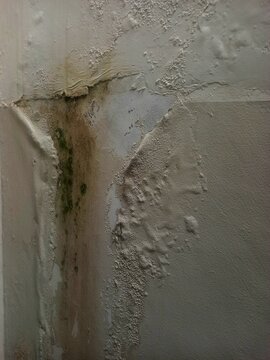 Water Damage And Mold On Interior Wall With Peeling Paint And Cracked Plaster Texture