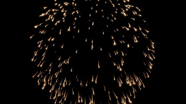 Fireworks burst in a glowing sphere of golden light spark trajectories against a pitch black night sky background.