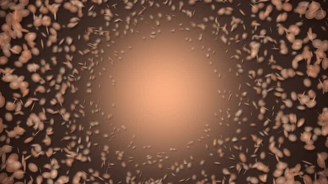 Abstract roasted coffee beans vortex motion animated background loop