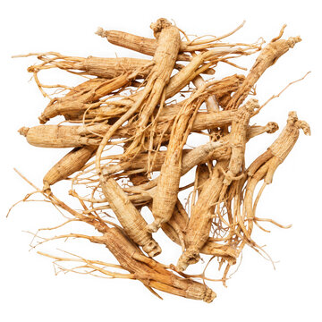 Dried ginseng roots isolated on transparent background