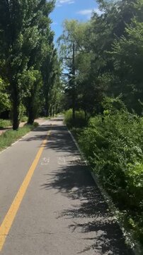 road in the forest