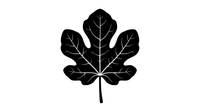 Black fig leaf silhouette with white veins on white background, vector illustration