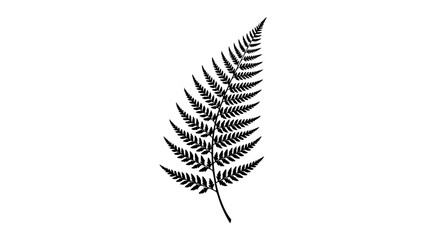 Black fern leaf illustration on white background © maman