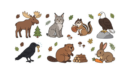 Obraz premium Cute North American Forest Animals Vector Clipart Set with Moose Lynx Chipmunk Beaver Eagle and Raven Characters for Children Educational Media and Nursery Prints