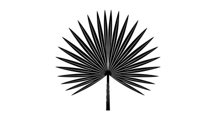 Fototapeta premium Black palm leaf silhouette isolated on white background