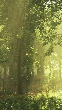 Sunlight filters through lush green leaves in a vibrant forest. Soft rays illuminate the serene space, creating a magical ambiance filled with life and tranquility.