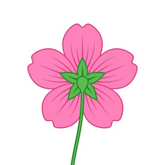 Fototapeta premium Pink Five-Petal Flower Vector Illustration Back View Isolated on White Background