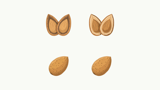 A vector illustration depicts cracked and whole almonds against a pale cream background almond nut kernel shells seed