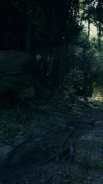 A tranquil forest path unfolds with soft sunlight spilling through trees. Lush greenery lines the trail, while rocks peek through vibrant foliage in the serene morning ambiance.