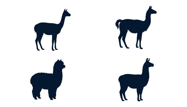 Llama and Alpaca Silhouette Vector Icon Set Featuring South American Camelids for Farm Nature Crafts Textiles and Cute Educational Graphic Designs