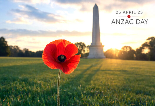 Vibrant red poppy flower in a serene grassy field with a tall monument at sunrise for anzac day remembrance