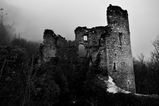Medieval Stone Castle Ruins in a Foggy Forest, Black and White
