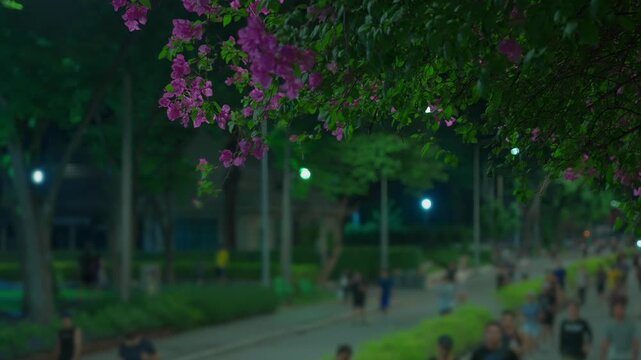 Pink flowering tree with blurred runners and joggers exercising in park at night, Blossoms in foreground with people jogging at Lumpini Park pathway in Bangkok, active healthy lifestyle 4k