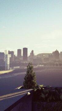 Beneath the soft glow of dawn, a solitary plant reaches for the sky, framed by a stunning city skyline. The buildings cast long shadows as a new day begins, full of promise.