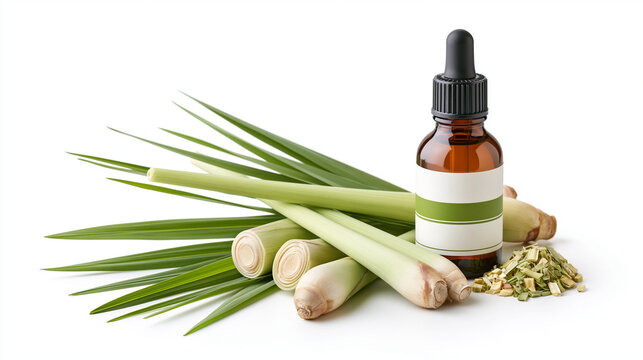 Lemongrass Herbal Extract with Fresh Stalks Isolated on White Background