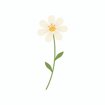 A simple flat vector illustration of a single white daisy flower with green stem and leaves.