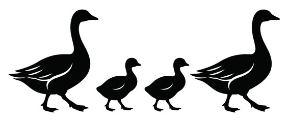 Family of geese walking together silhouette graphic design asset with silhouette illustration wildlife goslings together migration © Goutam
