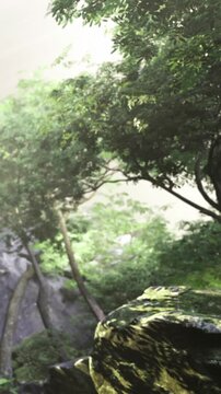 Sunlight filters through the leaves, casting gentle shadows on the vibrant green foliage. A serene setting invites exploration and appreciation of natures beauty.