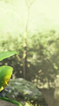 Vibrant green leaves unfurl under soft sunlight in a peaceful forest. Natures beauty unfolds with rich colors and gentle shadows, creating a serene atmosphere for quiet reflection.