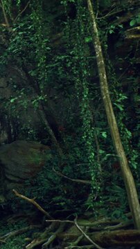 In a serene forest glade, vibrant green leaves sway gently in the light, while tall trees stretch towards the sky, creating a peaceful and inviting natural sanctuary perfect for exploration.