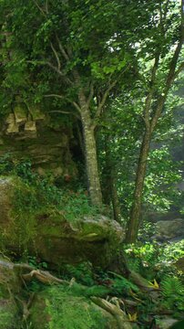 Sunlight filters through leafy branches, casting gentle shadows on vibrant green foliage. A hidden nook invites exploration, showcasing natures untouched beauty and serenity.
