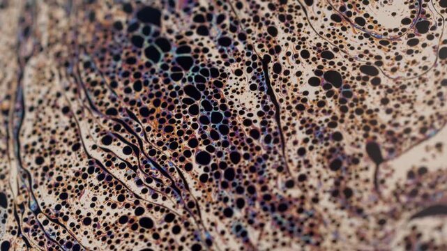 Abstract Iridescent Macro Fluid Dynamics with Swirling Oil and Liquid Bubbles