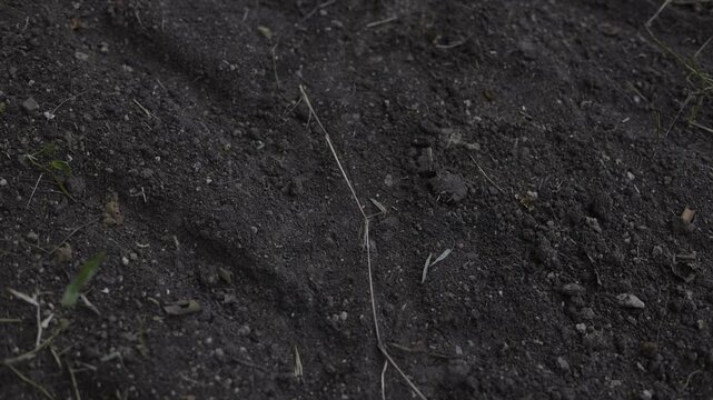 Tractor Tire Tracks On Agricultural Soil In Farm