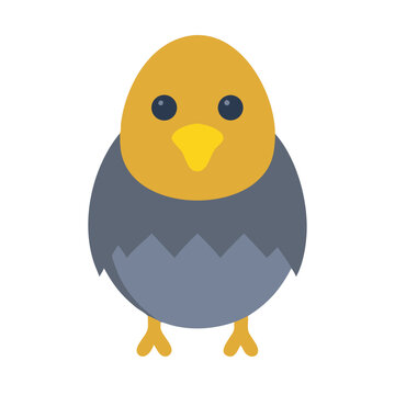 Illustration of newly hatched chick breaking from egg shell
