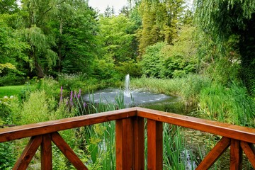 Fototapeta premium Empty wooden deck patio in a lush green public park overlooking a small fountain and pond