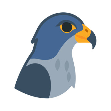 Stylish flat vector illustration of a falcon bird head
