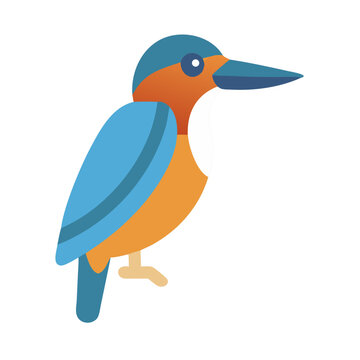 Stylized flat vector illustration of a kingfisher bird
