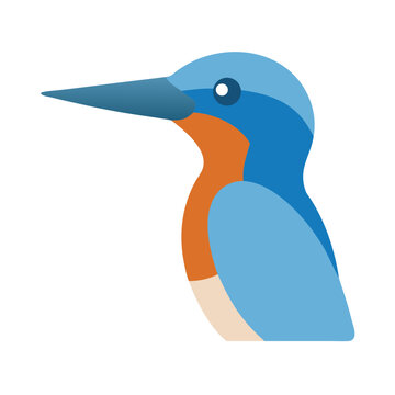 Geometric illustration of a kingfisher bird on black background