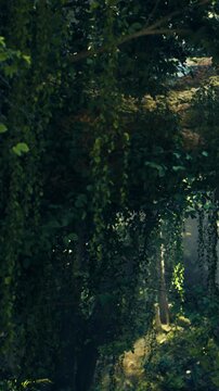Golden rays of sunlight cascade through vibrant greenery, casting enchanting shadows on the forest floor. Nature thrives in perfect harmony, creating a peaceful and magical atmosphere.