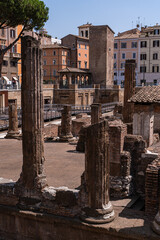 Fototapeta premium Largo di Torre Argentina ruins in the historical part of Rome
