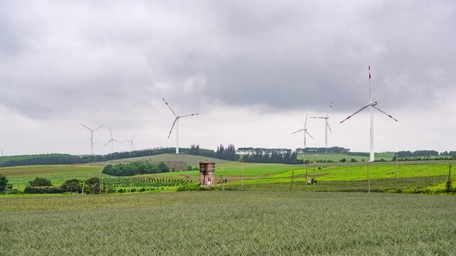 Sunset Windmill Landscape at Pineapple Sea in Xuwen County, Zhanjiang