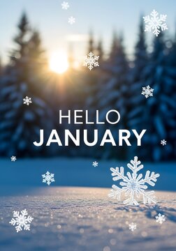 Hello january text with white snowflakes falling in a beautiful snowy forest landscape with a glowing sunrise during the cold winter season for seasonal holiday greeting card designs