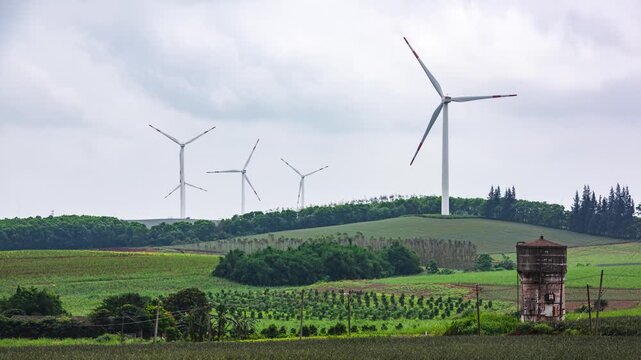 Sunset Windmill Landscape at Pineapple Sea in Xuwen County, Zhanjiang