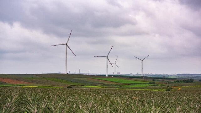 Sunset Windmill Landscape at Pineapple Sea in Xuwen County, Zhanjiang