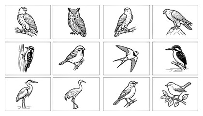Fototapeta premium Set of Vintage Bird Illustrations in Black and White Line Art
