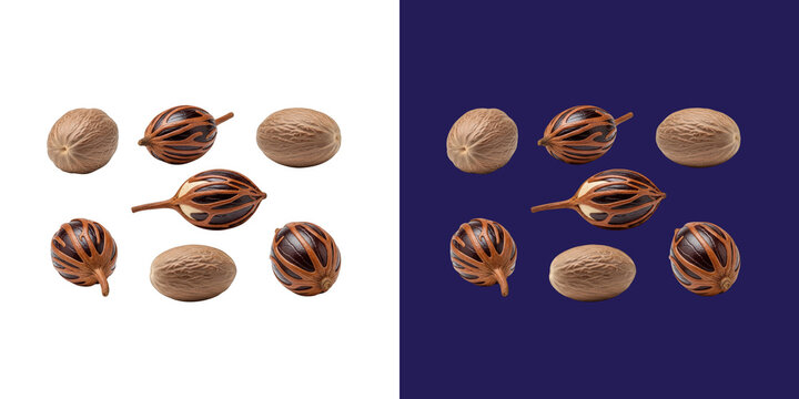Fresh brown nutmeg seeds and mace aril spice set transparent png