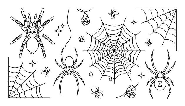 Halloween spider line art vector set featuring tarantula black widow spiderwebs egg sac and hanging cobweb design elements