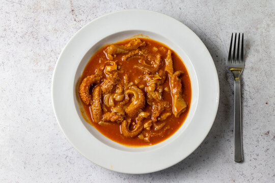 Traditional Hungarian Tripe Stew Served on White Plate