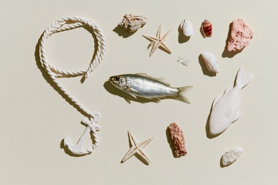 Silver fish and white rope anchor on a creamy surface with sea shells, a serene maritime template for baptism and communion celebration cards