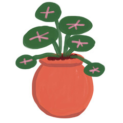 plant in pot