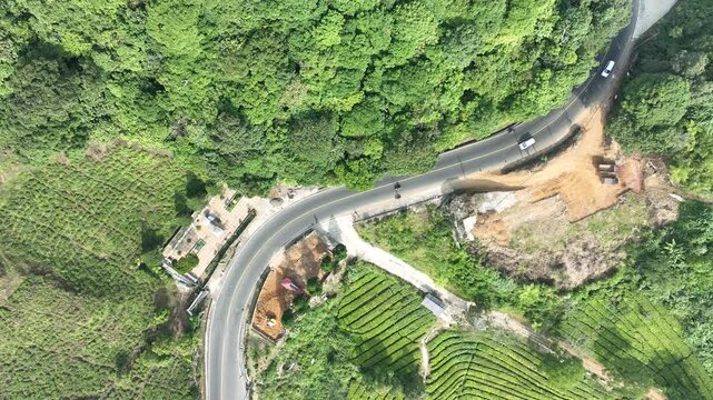 Aerial view of the winding Puncak Pass Bogor road surrounded by lush green tea plantations in Kecamatan Cisarua, Jawa Barat, Indonesia.
