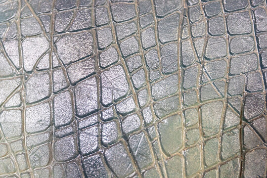 Textured surface pattern of scaled reptile skin with detailed scute grid design.