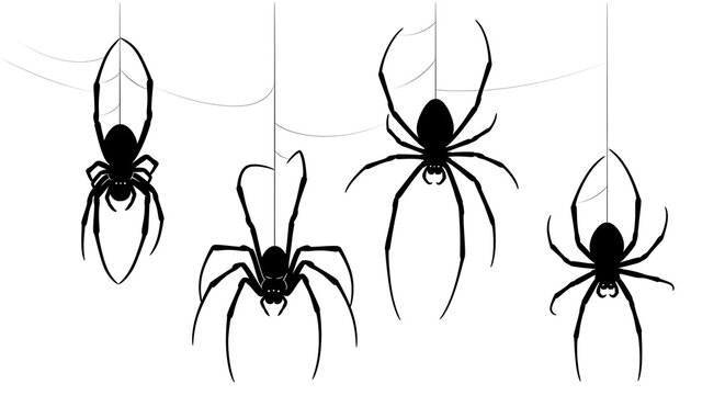 Black silhouette spiders hanging from webs isolated on white background