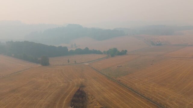 Cloud of smoke drifting toward Trier city, Germany, high fine dust levels, forest fires in High Fens, Belgium and North Rhine Westphalia, wind direction